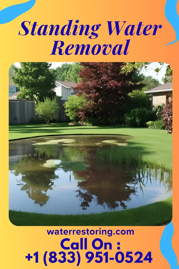 Standing Water Removal in Albion, WA